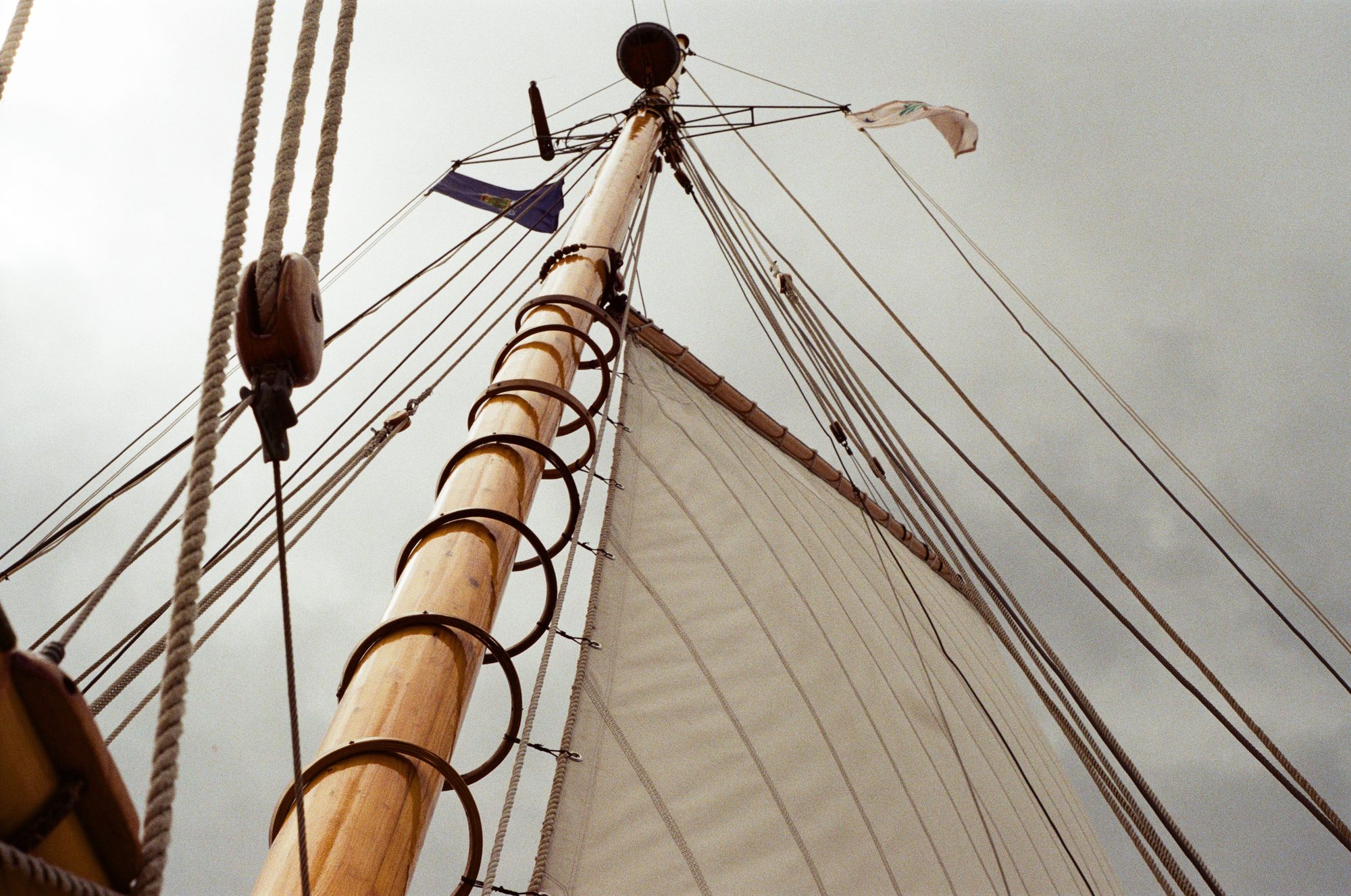 Mast